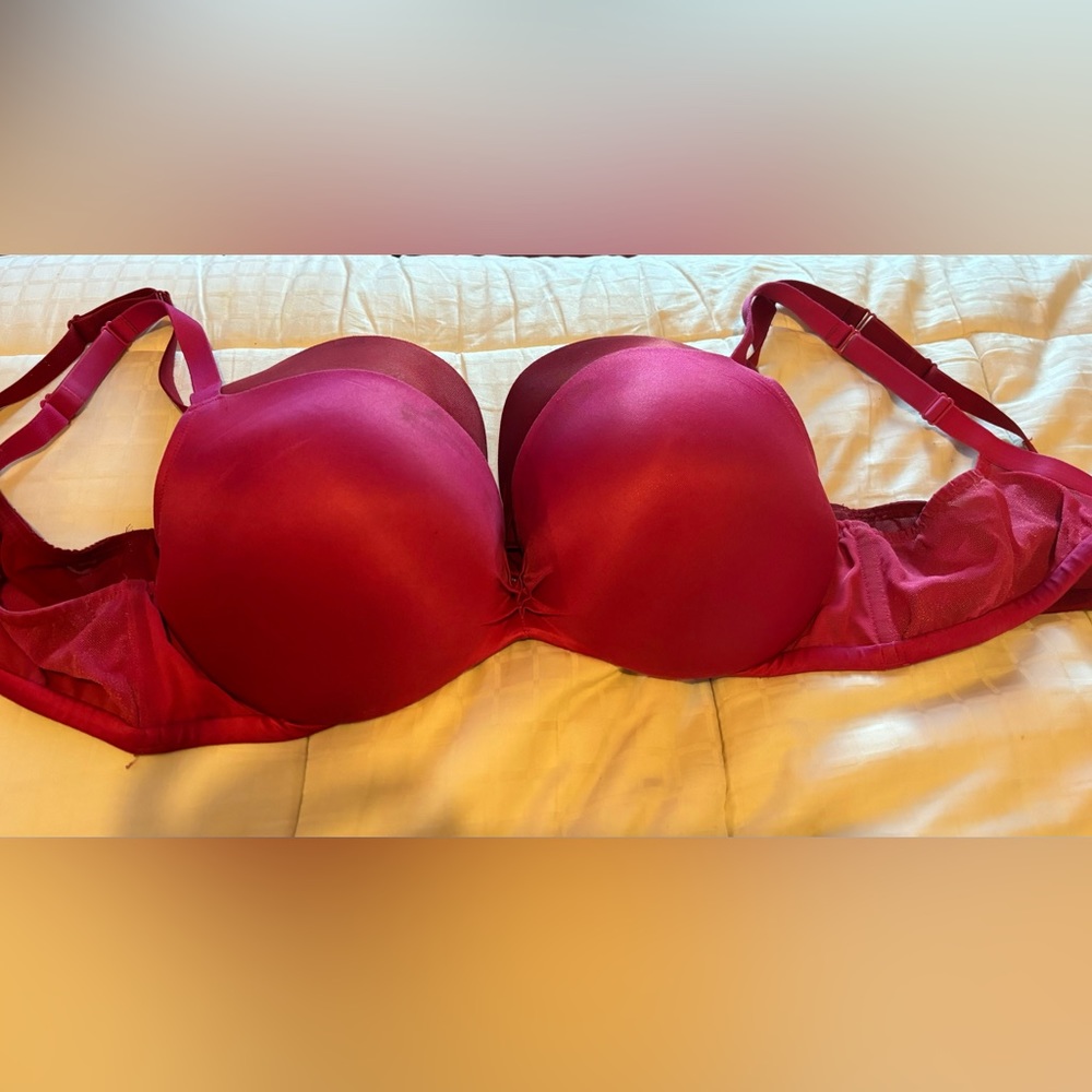 Lane Bryant boost plunge 40D -  (2) available 1 in red and 1 in pink.